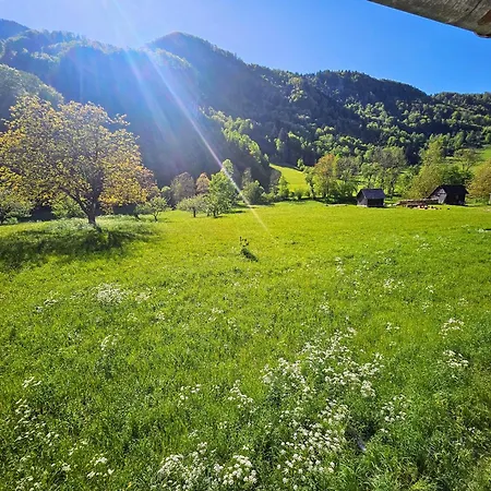 Rustic Alpine Near Bled By Pintar Lejlighed Bohinjska Bela